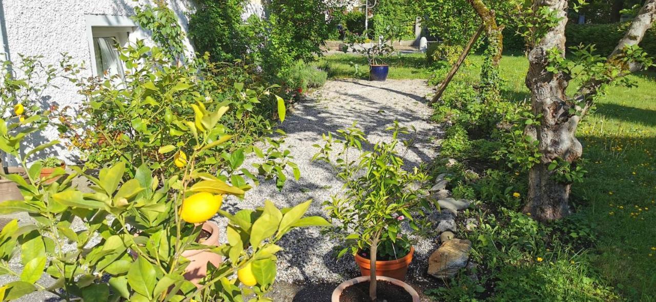 Villa Rosen - Ferienwohnungen Bad Reichenhall Luaran gambar