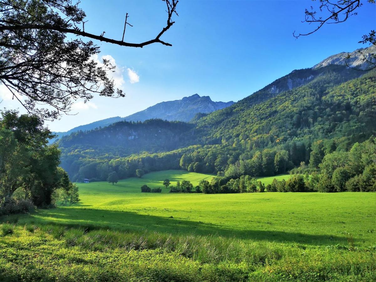 Villa Rosen - Ferienwohnungen Bad Reichenhall Luaran gambar